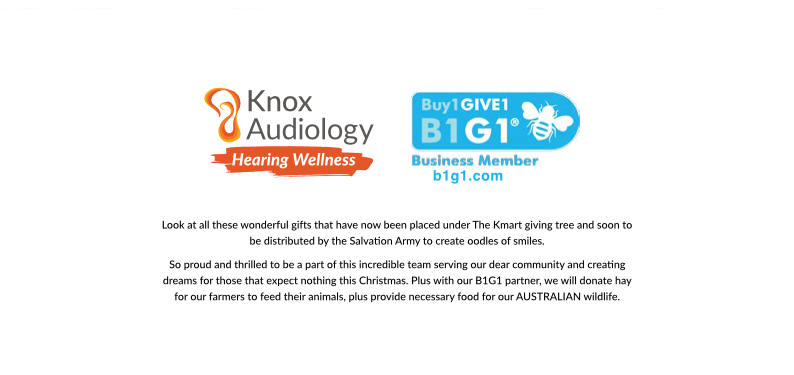 Knox Audiology_Christmas Card 2019 p4