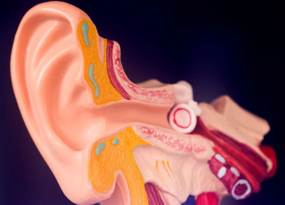 Could It Be APD? Recognising the Signs of Auditory Processing Disorder in Children and Adults